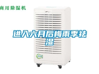 行業(yè)新聞進(jìn)入六月后梅雨季祛濕