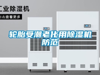 行業(yè)新聞輪胎受潮老化用除濕機(jī)防范
