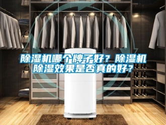 行業(yè)新聞除濕機(jī)哪個(gè)牌子好？除濕機(jī)除濕效果是否真的好？