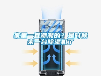 行業(yè)新聞家里一直潮潮的？是時候來一臺除濕機了