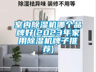 企業(yè)新聞室內(nèi)除濕機(jī)哪個(gè)品牌好(2023年家用除濕機(jī)牌子推薦)