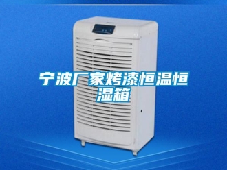 知識(shí)百科寧波廠家烤漆恒溫恒濕箱