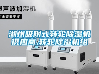 常見問(wèn)題湖州吸附式轉(zhuǎn)輪除濕機(jī)供應(yīng)商,轉(zhuǎn)輪除濕機(jī)組