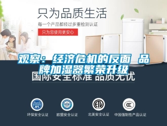 行業(yè)新聞觀察：經(jīng)濟危機的反面 品牌加濕器繁榮升級