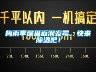 行業(yè)新聞梅雨季屋里返潮發(fā)霉，快來除濕吧！