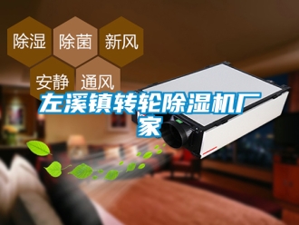 企業(yè)新聞左溪鎮(zhèn)轉(zhuǎn)輪除濕機(jī)廠家