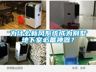 知識百科為什么新風系統(tǒng)成為別墅地下室必備神器？