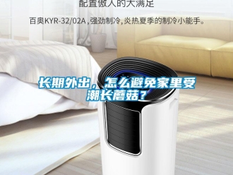 常見問題長(zhǎng)期外出，怎么避免家里受潮長(zhǎng)蘑菇？