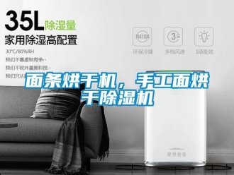 行業(yè)新聞面條烘干機(jī)，手工面烘干除濕機(jī)