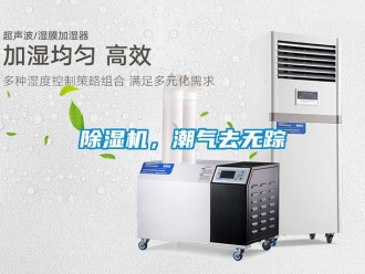 常見問題除濕機(jī)，潮氣去無蹤