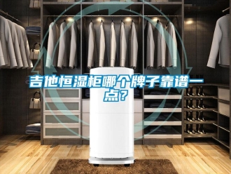 知識(shí)百科吉他恒濕柜哪個(gè)牌子靠譜一點(diǎn)？