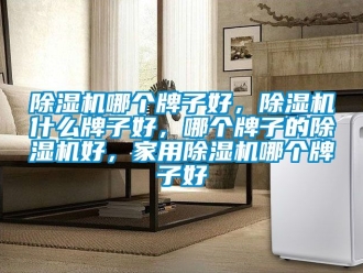常見問題除濕機哪個牌子好，除濕機什么牌子好，哪個牌子的除濕機好，家用除濕機哪個牌子好