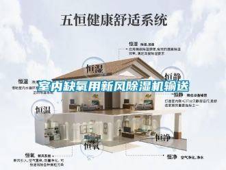 知識(shí)百科室內(nèi)缺氧用新風(fēng)除濕機(jī)輸送