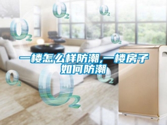 常見問題一樓怎么樣防潮,一樓房子如何防潮