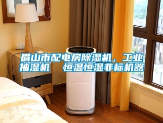 常見問題眉山市配電房除濕機，工業(yè)抽濕機  恒溫恒濕非標機器