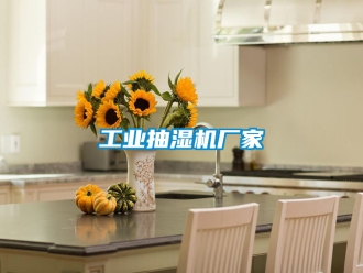 企業(yè)新聞工業(yè)抽濕機廠家