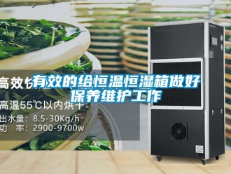 知識百科有效的給恒溫恒濕箱做好保養(yǎng)維護工作