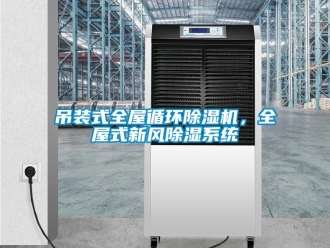 常見問題吊裝式全屋循環(huán)除濕機(jī)，全屋式新風(fēng)除濕系統(tǒng)