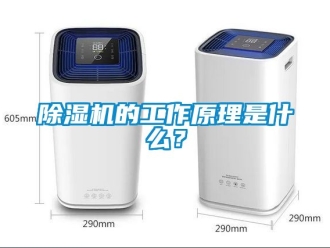 企業(yè)新聞除濕機(jī)的工作原理是什么？