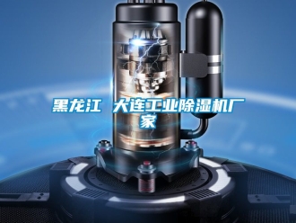 企業(yè)新聞黑龍江 大連工業(yè)除濕機(jī)廠家