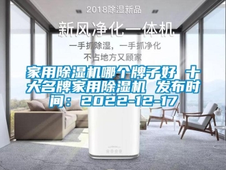 常見問題家用除濕機哪個牌子好 十大名牌家用除濕機 發(fā)布時間：2022-12-17