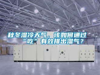 常見問題秋冬濕冷天氣，該如何通過“吃”有效排出濕氣？