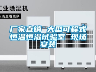 知識百科廠家直銷 大型可程式恒溫恒濕試驗室 現(xiàn)場安裝