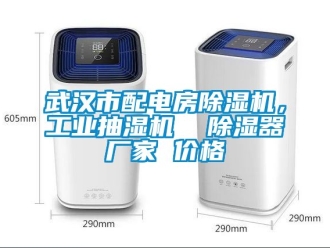 企業(yè)新聞武漢市配電房除濕機(jī)，工業(yè)抽濕機(jī)  除濕器廠家 價(jià)格