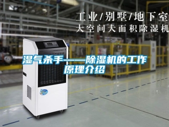 行業(yè)新聞濕氣殺手——除濕機(jī)的工作原理介紹