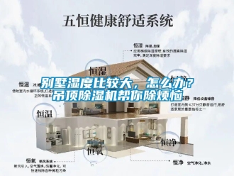 常見問題別墅濕度比較大，怎么辦？吊頂除濕機幫你除煩惱