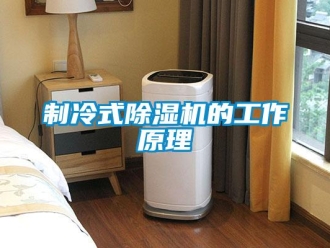 行業(yè)新聞制冷式除濕機的工作原理