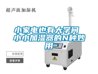 知識百科小家電也有大學(xué)問 小小加濕器的N種妙用