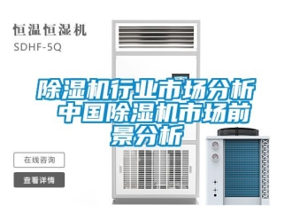 行業(yè)新聞除濕機(jī)行業(yè)市場分析 中國除濕機(jī)市場前景分析