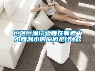 知識百科恒溫恒濕試驗箱在制造中水箱漏水的原因是什么？