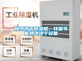 行業(yè)新聞柿餅烘干除濕機(jī)，環(huán)保節(jié)能柿餅烘干設(shè)備