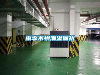 知識百科雨季不懼潮濕困擾