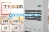 上海家用除濕機(jī)哪個(gè)牌子好