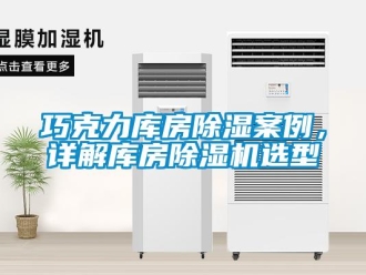 行業(yè)新聞巧克力庫房除濕案例，詳解庫房除濕機選型