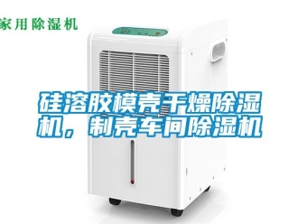 企業(yè)新聞硅溶膠模殼干燥除濕機(jī)，制殼車間除濕機(jī)