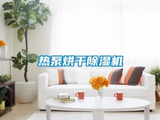 行業(yè)新聞熱泵烘干除濕機(jī)