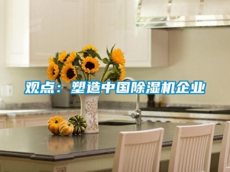 行業(yè)新聞觀點：塑造中國除濕機企業(yè)