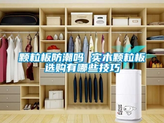 常見問題顆粒板防潮嗎 實(shí)木顆粒板選購有哪些技巧
