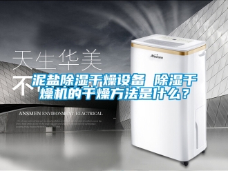 行業(yè)新聞泥鹽除濕干燥設(shè)備 除濕干燥機的干燥方法是什么？