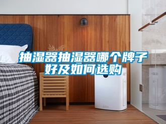 企業(yè)新聞抽濕器抽濕器哪個牌子好及如何選購