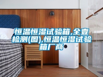 知識(shí)百科恒溫恒濕試驗(yàn)箱,全壹檢測(cè)(圖),恒溫恒濕試驗(yàn)箱廠商