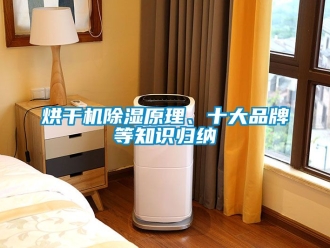 企業(yè)新聞烘干機(jī)除濕原理、十大品牌等知識(shí)歸納