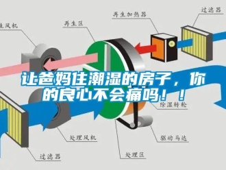 常見問題讓爸媽住潮濕的房子，你的良心不會痛嗎??！