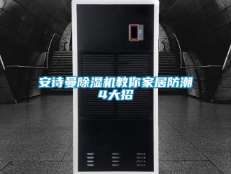企業(yè)新聞安詩(shī)曼除濕機(jī)教你家居防潮4大招
