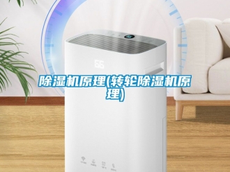 常見問題除濕機原理(轉(zhuǎn)輪除濕機原理)