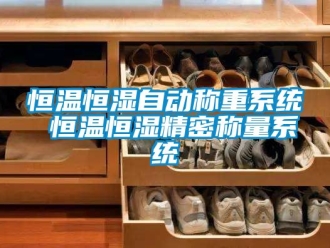 知識(shí)百科恒溫恒濕自動(dòng)稱重系統(tǒng) 恒溫恒濕精密稱量系統(tǒng)